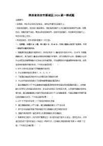 陕西省西安市新城区2026届中考一模生物试卷（学生版）