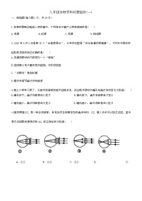 吉林省四平市吉林师范大学附属中学2025-2026学年八年级上学期第一次月考生物试题