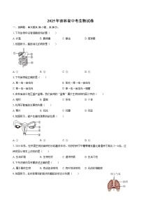 2025年吉林省中考生物试卷（含详细答案解析）