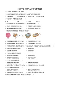 2025年四川省广元市中考生物试卷（含详细答案解析）