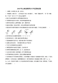 2025年山东省菏泽市中考生物试卷（含详细答案解析）