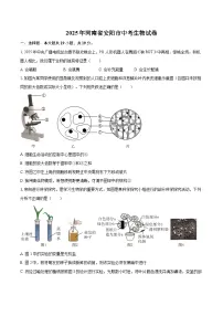 2025年河南省安阳市中考生物试卷（含详细答案解析）