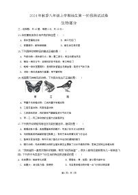 湖北省十堰市实验中学名校教联体2024-2025学年八年级上学期第一次月考生物试卷