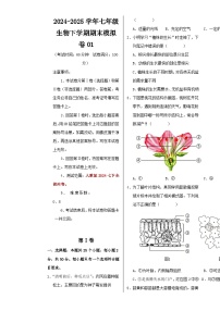 七年级生物期末模拟卷01【测试范围：人教版2024下册全部内容】（考试版A3）-A4