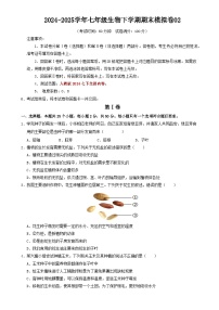 七年级生物期末模拟卷02【测试范围：人教版2024下册全部内容】（考试版）-A4