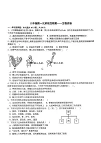 湖北省襄阳高新技术产业开发区第二中学2025-2026学年八年级上学期10月月考生物试题