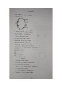 山东省青岛市胶州市洋河中学2025-2026学年八年级上学期10月月考生物试题