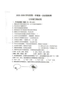 辽宁省葫芦岛市绥中县第一初级中学2025-2026学年七年级上学期10月份月考生物试题