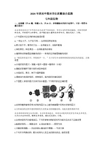 湖北省襄阳市老河口市2024--2025学年七年级上学期期末生物试题+