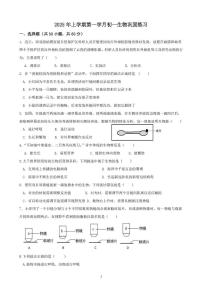 四川省荣县中学校2025-2026学年七年级上学期第一次月考生物试题