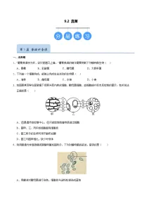 苏科版（2024）七年级下册（2024）真菌优秀同步练习题
