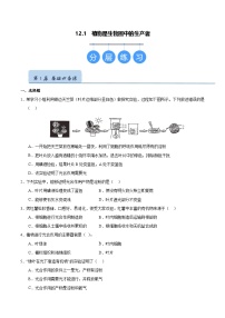 初中生物苏科版（2024）七年级下册（2024）植物是生物圈中的生产者精品达标测试
