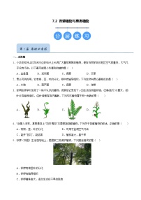 初中苏科版（2024）苔藓植物与蕨类植物精品精练