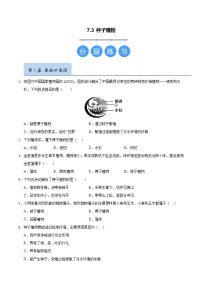 初中生物苏科版（2024）七年级下册（2024）种子植物精品课后练习题