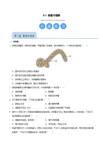 初中生物苏科版（2024）七年级下册（2024）病毒与细菌精品同步练习题