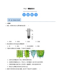 初中生物苏科版（2024）七年级下册（2024）植物的生长精品练习题