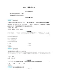 初中生物人教版（2024）七年级下册（2024）植株的生长优秀学案