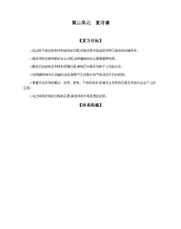 七年级下册（2024）植株的生长优质导学案
