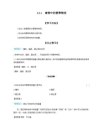 人教版（2024）七年级下册（2024）食物中的营养物质精品导学案
