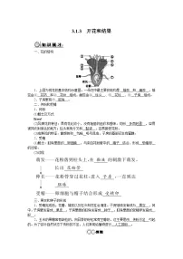 生物开花和结果优秀同步练习题