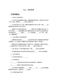 人教版（2024）七年级下册（2024）光合作用精品学案