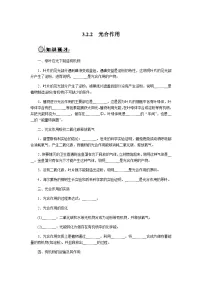人教版（2024）七年级下册（2024）光合作用精品学案
