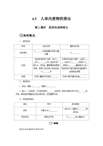 初中生物人教版（2024）七年级下册（2024）人体内废物的排出精品第2课时练习