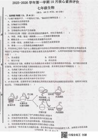 山东省枣庄市山亭区2025-2026学年七年级上学期10月月考生物试题