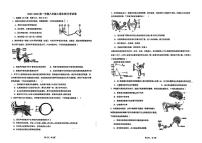 山东省青岛市部分学校2025-2026学年八年级上学期10月月考生物试卷