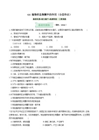 初中生物北师大版（2024）七年级上册（2024）植物在生物圈中的作用优秀巩固练习