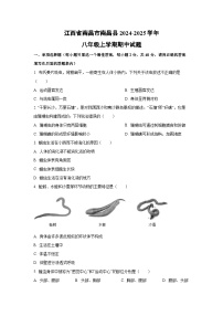江西省南昌市南昌县2024-2025学年八年级上学期期中生物试卷（学生版）