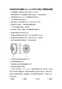 江西省吉安市安福县2024-2025学年七年级上学期期末生物试卷（学生版）