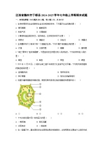 江西省赣州市于都县2024-2025学年七年级上学期期末生物试卷（学生版）