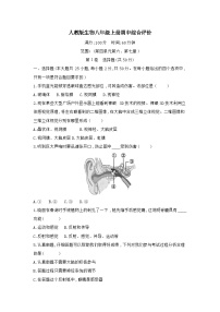 2025-2026学年人教版（2024）生物八年级上册期中综合评价 (第四单元第六、第七章)试卷