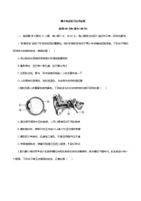 2025-2026学年人教版八年级生物上册期中考试复习测评试卷