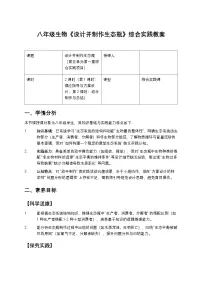 初中生物人教版（2024）八年级上册（2024）综合实践项目 设计并制作生态瓶教案设计