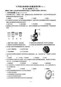 辽宁省鞍山市立山区2024-2025学年第一学期七年级生物期中试卷（含答案）