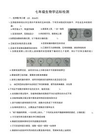 山东省枣庄市第二十九中学2025-2026学年七年级上学期10月月考生物试题