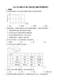 2025-2026学年人教版生物七年级上册期中考前提升练习 含答案