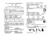 2025-2026学年七年级上学期阶段评估月考生物试卷含答案