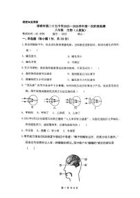 河北省邯郸市第二十五中学2025-2026学年八年级上学期第一次月考生物试卷(无答案)