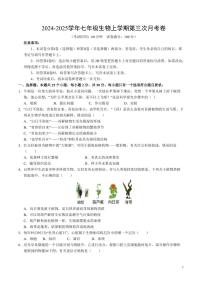 2024-2025学年第一学期七年级上册生物第三次月考卷七年级生物试卷含答案（苏教版）