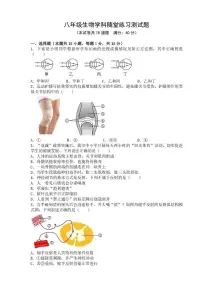辽宁省葫芦岛市兴城市部分学校2025-2026学年八年级上学期随堂练习生物试卷（月考）