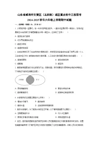 山东省威海市文登区（五四制）城区重点初中三校联考2024-2025学年六年级上学期期中生物试卷（学生版）