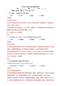 2025秋（冀少版）生物七年级上册期中试卷（解析版）