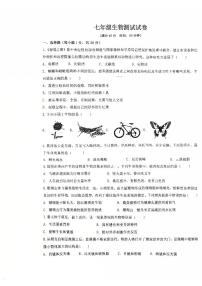 河南省郑州市高新技术产业开发区2025-2026学年七年级上学期10月月考生物试题