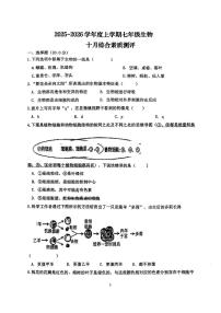湖北省襄阳市老河口市张集中学2025-2026学年七年级上学期10月月考生物试题