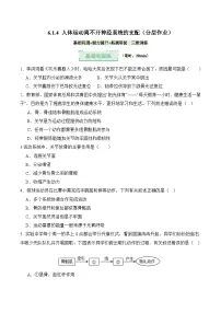 济南版（2024）八年级上册（2024）第六单元 人体生命活动的调节第一章 人体生命活动需要神经系统和内分泌系统的调节第四节 人体运动离不开神经系统的支配精品课时训练