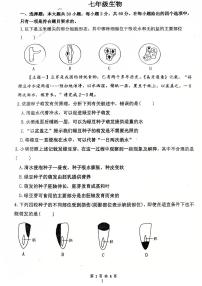 广东省江门市第一实验学校2024-2025学年七年级下学期期中考试生物试题