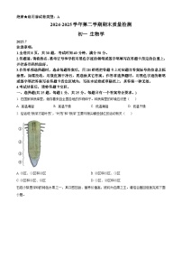 精品解析：广东省深圳市罗湖区2024-2025学年七年级下学期期末生物试题含答案